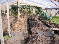 The top beds