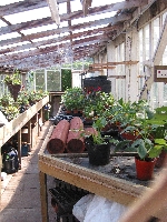 Pots 'n' Trays