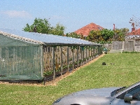 A full greenhouse