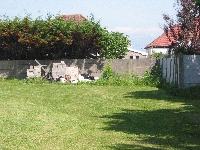 In the green corner